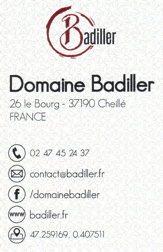 logo_domaine_badiller.jpg